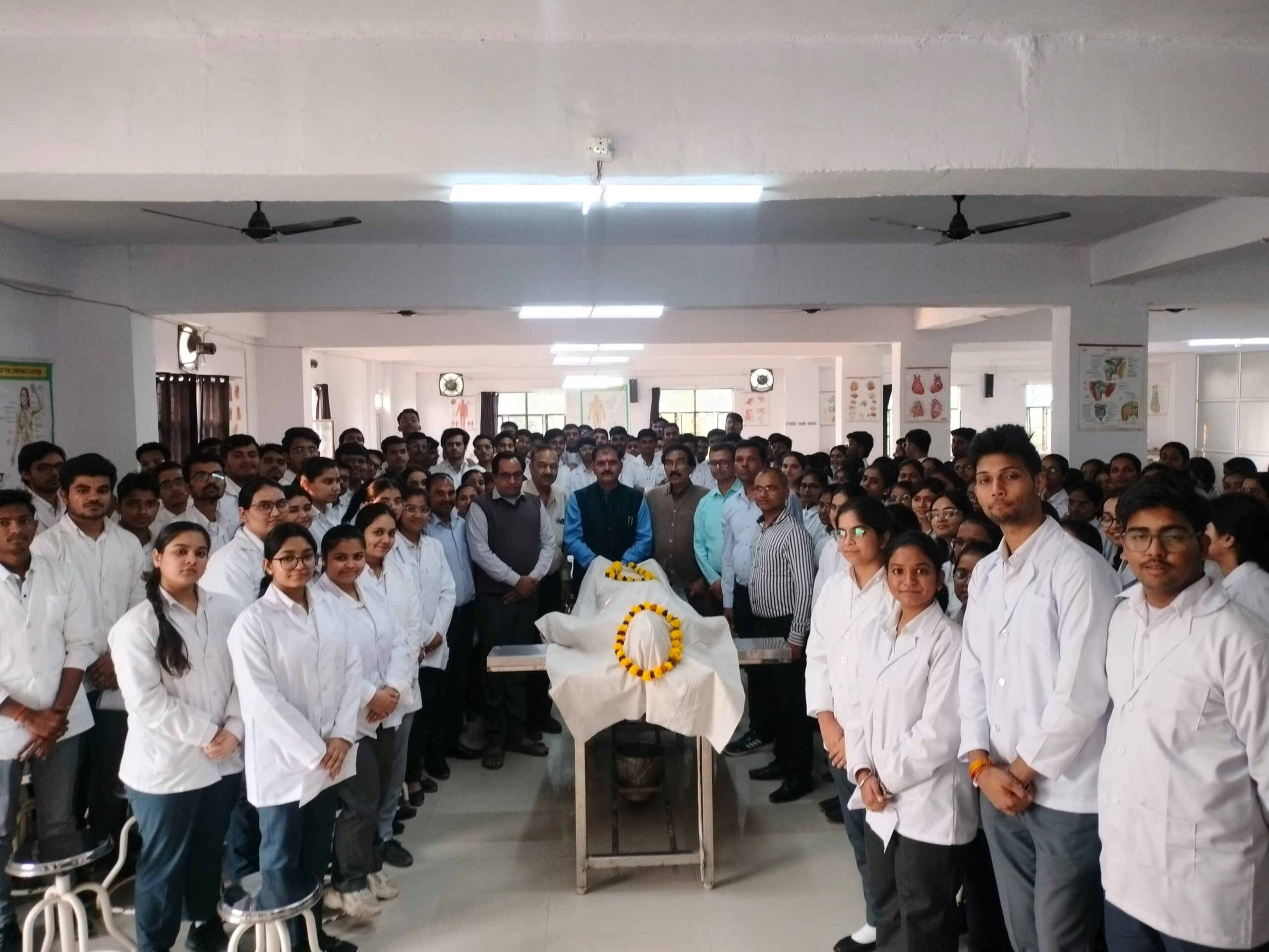 Anatomy Gallery Image 2