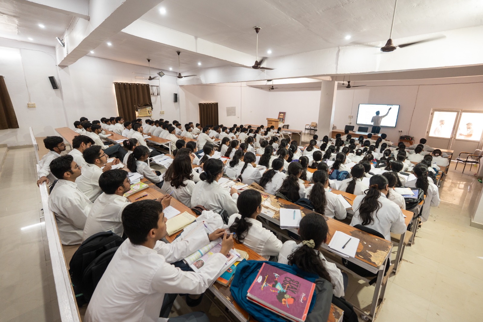 Anatomy Gallery Image 5