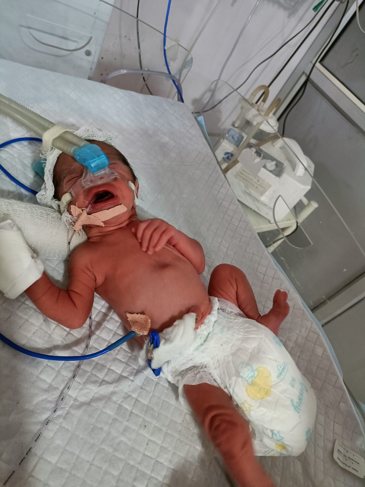 Pediatrics Gallery 5