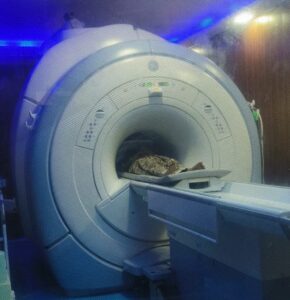 Radiology Equipment 2